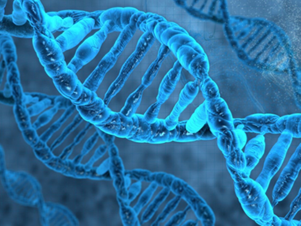 遗传学最新进展,学习遗传学的步骤指南