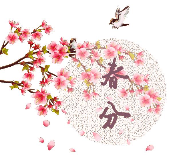 暗香最新,与自然美景的轻松遨游,探寻内心平和之旅