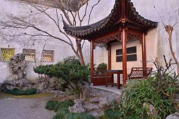 红枫最新动态,学习变化中的自信与成就力量