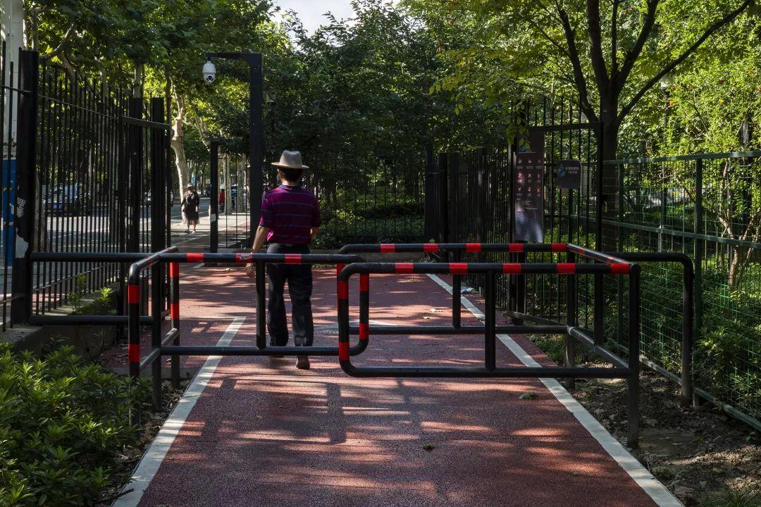 红枫最新动态,学习变化中的自信与成就力量