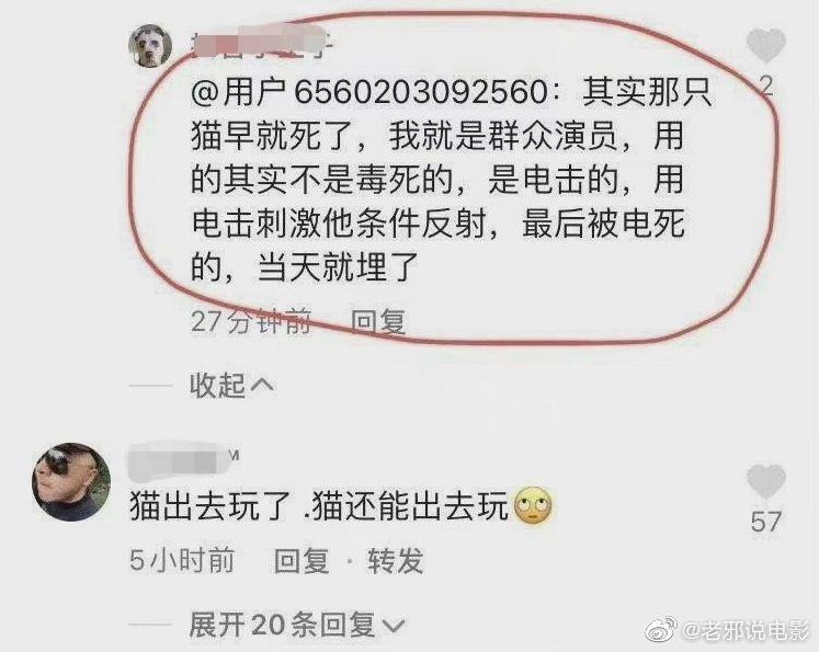 全面解读,怒火最新起因及应对之策