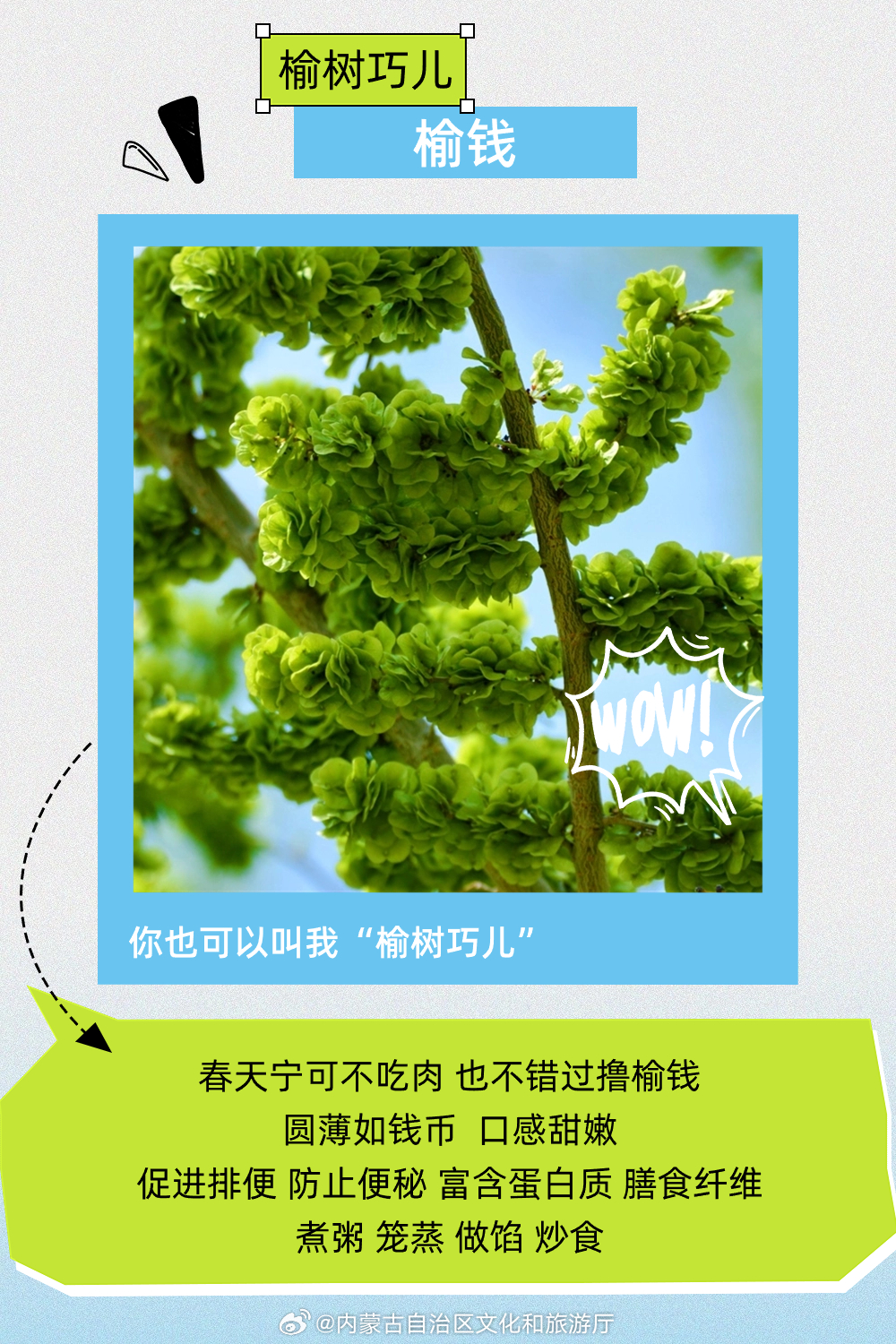 最新榆钱,小巷深处的独特风味美食