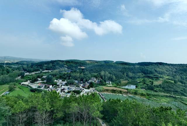 桐柏最新,学习、变革与自信的成长之旅