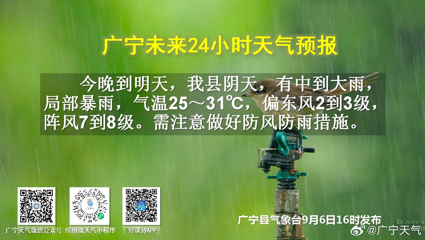 广宁最新疫情动态,变化中的学习铸就自信与成就的力量