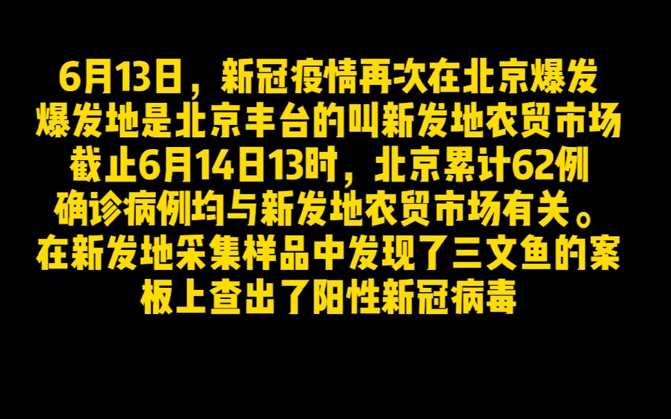 北京疫情最新动态，新发地新貌与小巷深处的独特风味
