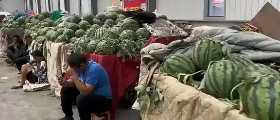 西瓜滞销背后的温情故事，友情、家庭与希望的交织纽带