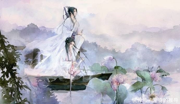 王勃最新动态,跃动知识海洋,自信成就未来