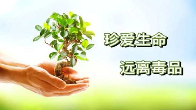 细约最新新冠科技产品介绍,科技助力抗疫新篇章