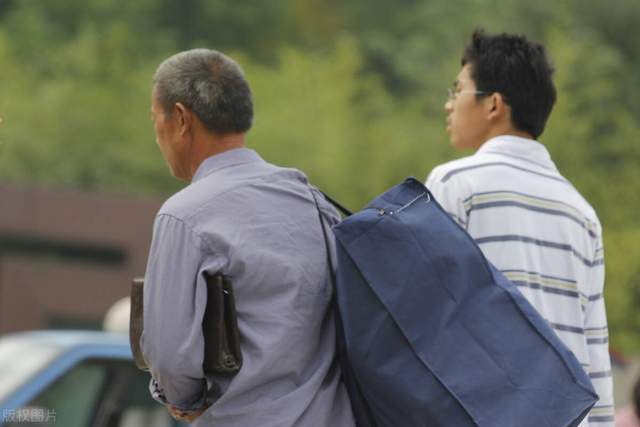 深度解析,最新型啃老现象及其影响