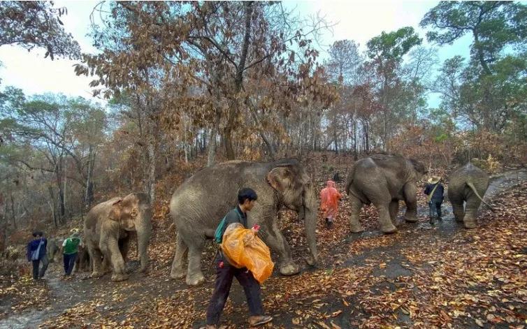 泰国最新疫情动态,变化中的力量与乐观的力量