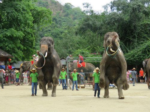 泰国最新疫情动态,变化中的力量与乐观的力量