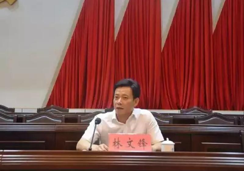 林绪文最新职务揭秘,小巷中的美食宝藏探索者