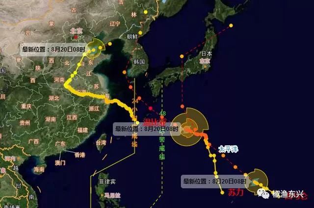 大连台风8号最新消息,台风背后的温馨有趣故事