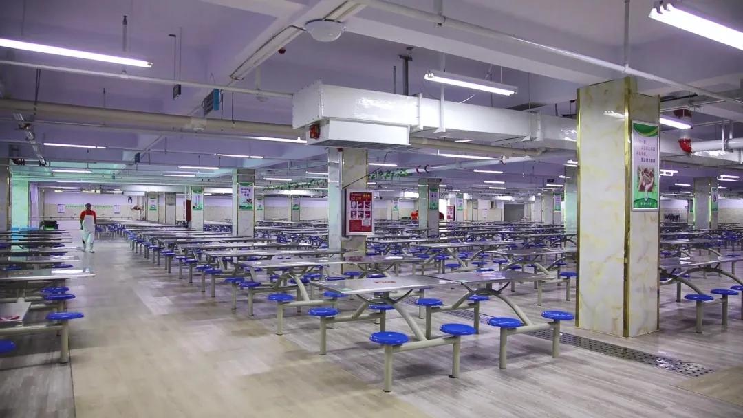 山东临沂最新励志信息,励志之光照亮未来之路