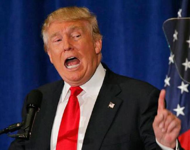 特朗普最新爆料与小巷深处的独特风味揭秘