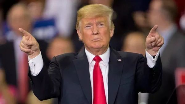 特朗普最新爆料与小巷深处的独特风味揭秘