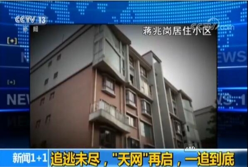 蒋兆岗的最新日常,爱与陪伴的温馨时光