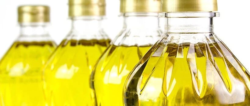 油脂最新动态,激发热情,助力自我成就新篇章!