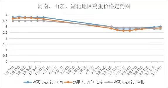 最新榆林鸡蛋价格及影响因素深度探讨