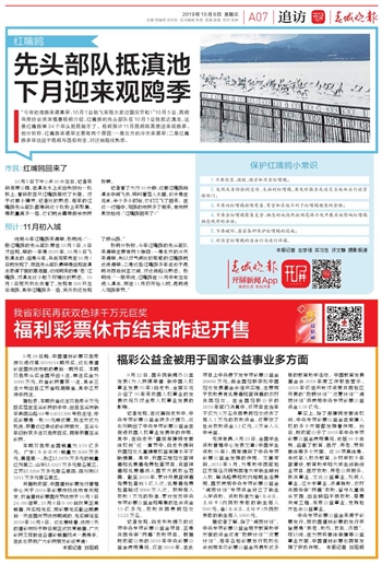 2024新澳门正版资料免费大全,福彩公益网,专业解读方案实施_RIO77.210商务版