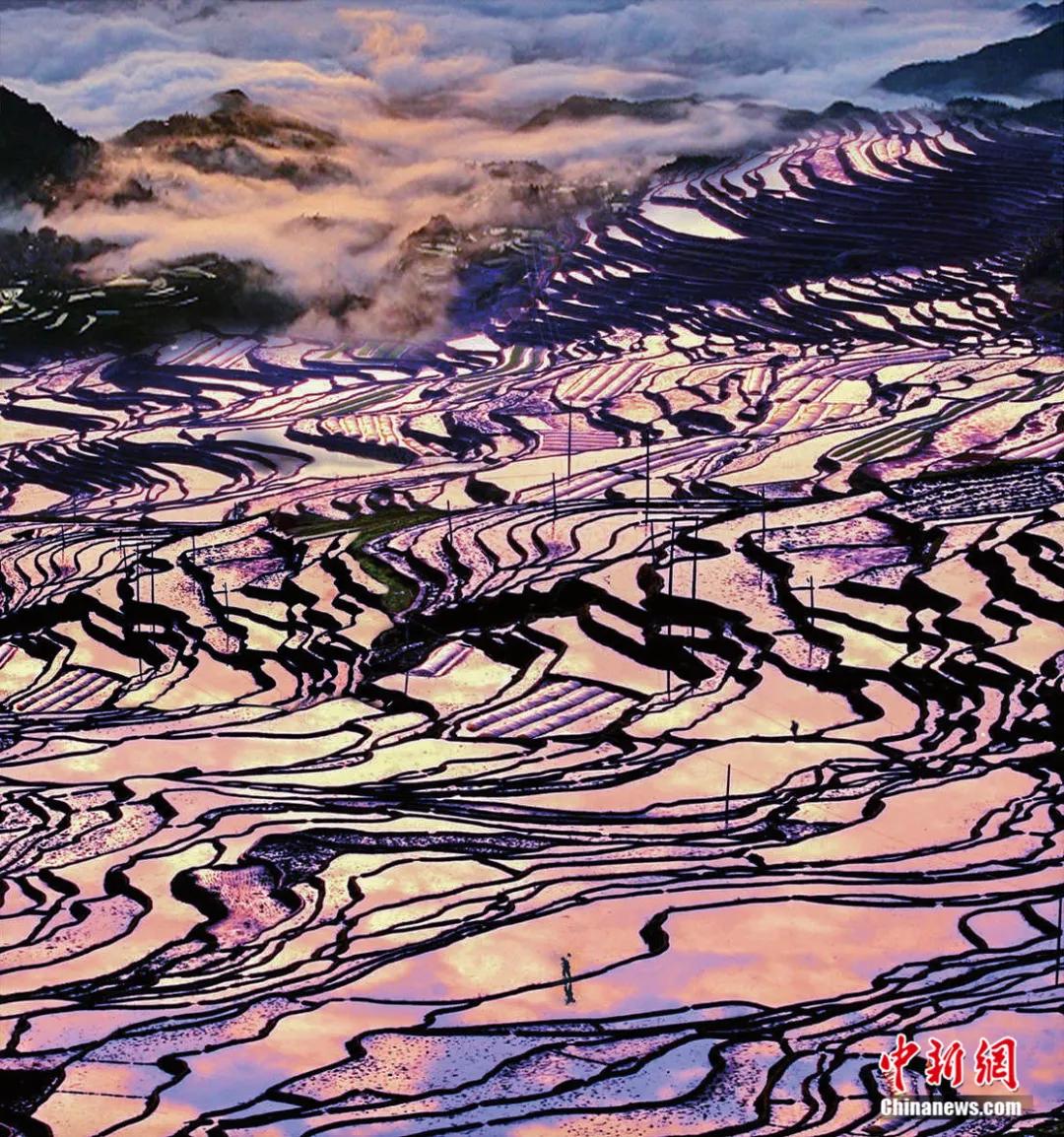 电动旗杆 第602页