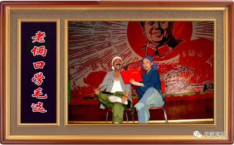 学毛选最新视频教程,步骤指南与入门概览