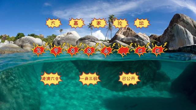 2025澳门天天开好彩大全,权威解析方法_SHR77.963灵动版