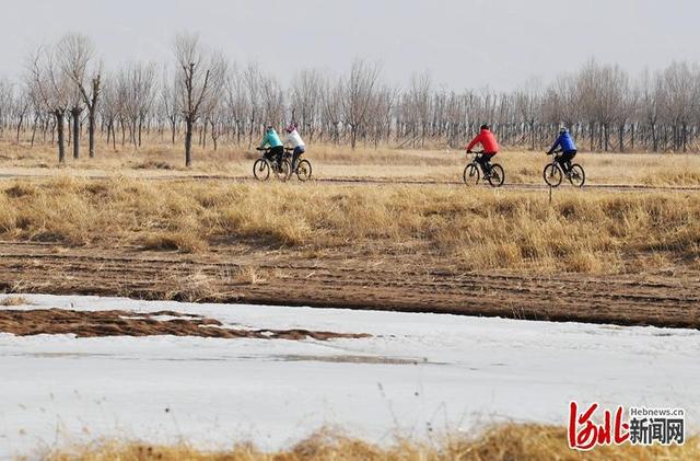 怀来小巷深处的独特风味,隐藏版特色小店惊艳亮相最新新闻
