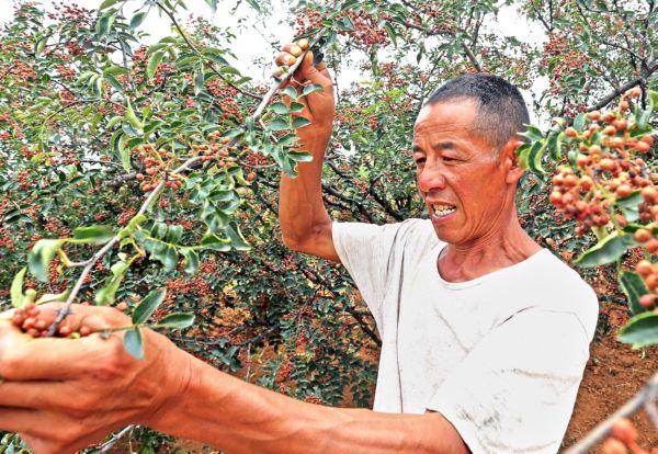 变径旗杆 第571页