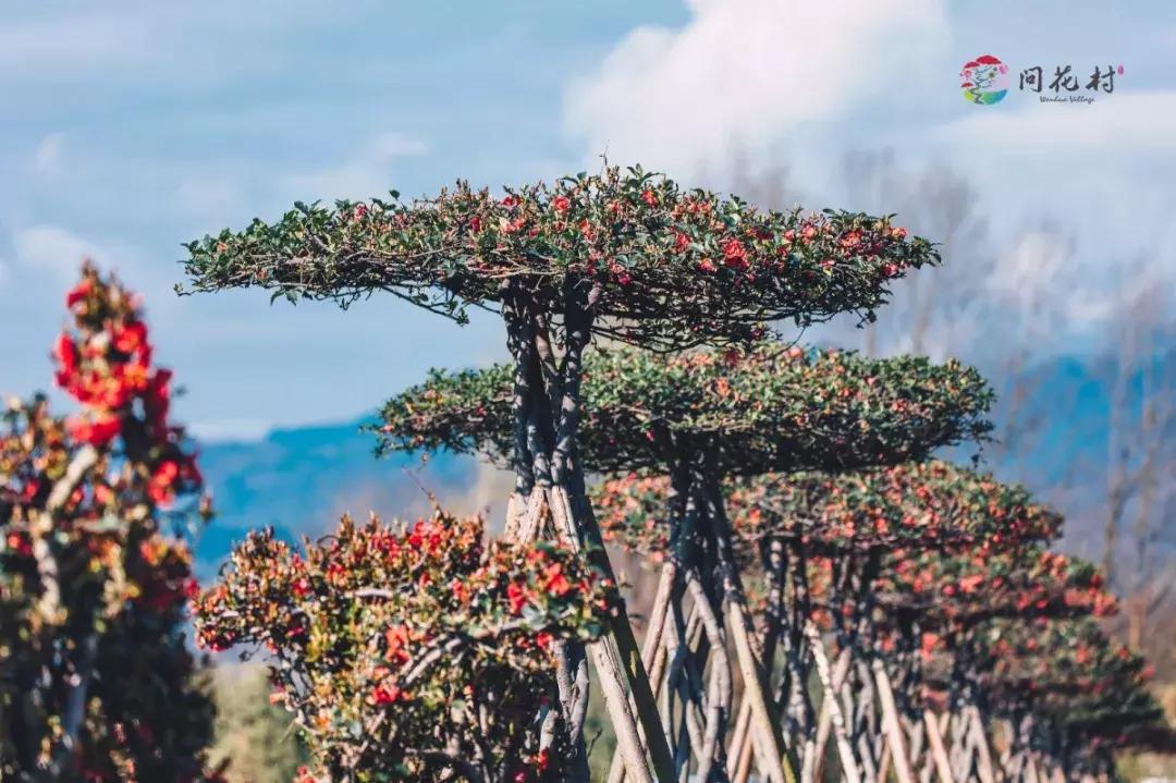 白钢旗杆 第596页