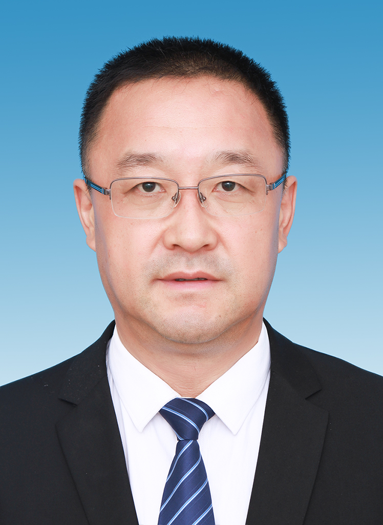 乌海市最新副市长名单揭晓，探索城市小巷的独特风味