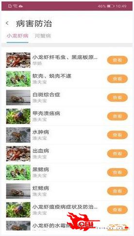 惠泽天下资料大全免费手机版,实地研究解答协助_TIJ23.677进口版