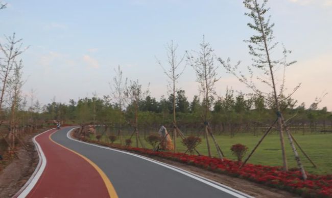 冯店乡最新公路建设，巷弄深处的惊喜之旅启程