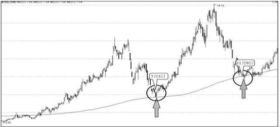 津劝业最新动态，探索自然美景，寻找内心宁静乐园