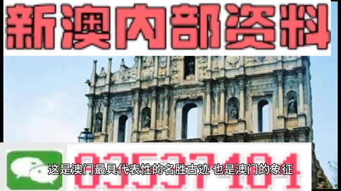 2024新澳精准正版资料大全,高效性设计规划_TUJ23.812儿童版