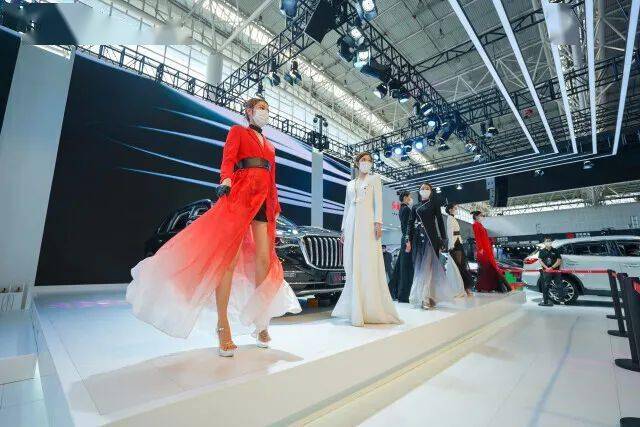 星卡在长沙，爱与陪伴的奇妙之旅最新动态