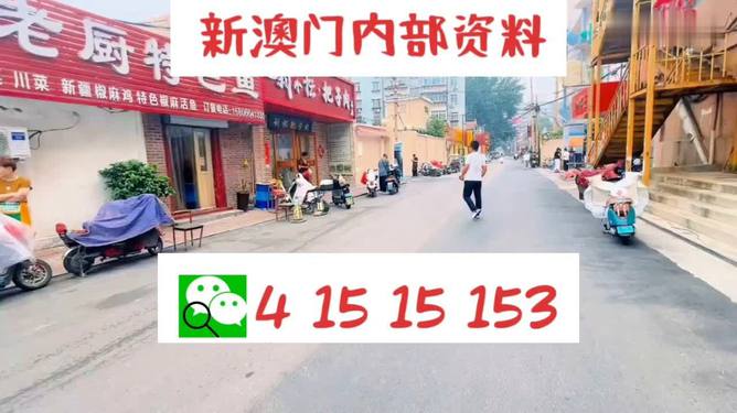 2024澳门天天开好彩资料？,现代化解析定义_DOF23.219艺术版