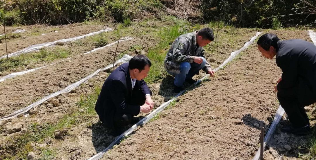 职业暴露最新窗口期的最新进展与应对策略