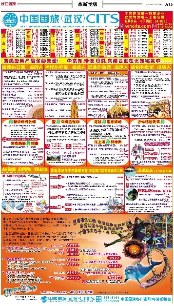 王中王精准资料,创新解释说法_QPT79.881旅行者版