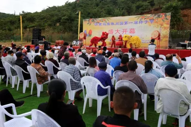 沂南龙之媒最新招聘，探寻人才汇聚的热门之地