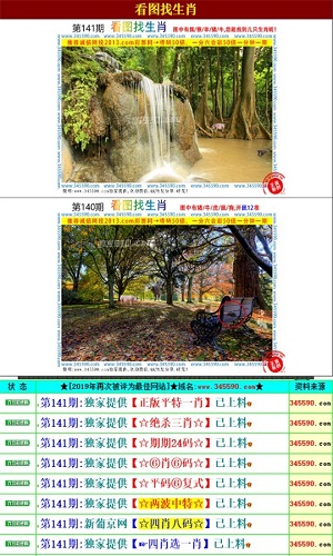 新澳门一肖一码王中王资料,全盘细明说明_FVL79.129外观版