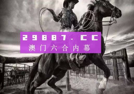 新澳门状元红正版,解析解释说法_QHL79.982多功能版