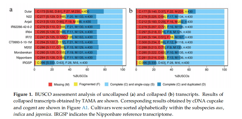 新澳门精准内部资料免费,快速处理计划_XZW79.658曝光版