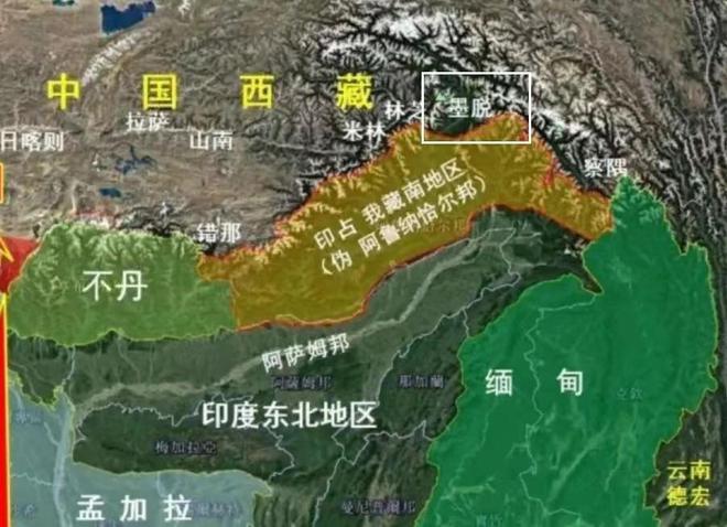 中印最新消息视频，今日聚焦，日常温馨与友情的纽带