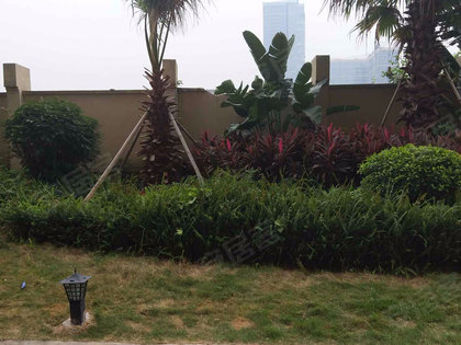 格林尚坊最新动态,学习变革,自信塑造未来