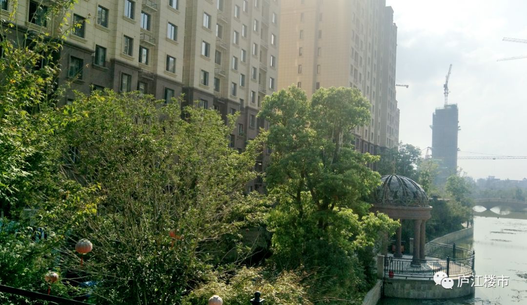 庐江城东房产最新楼盘，科技之光，未来生活典范