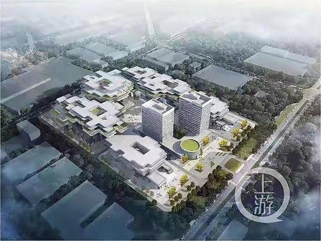 重庆蔡家最新动态更新,最新资讯与消息汇总