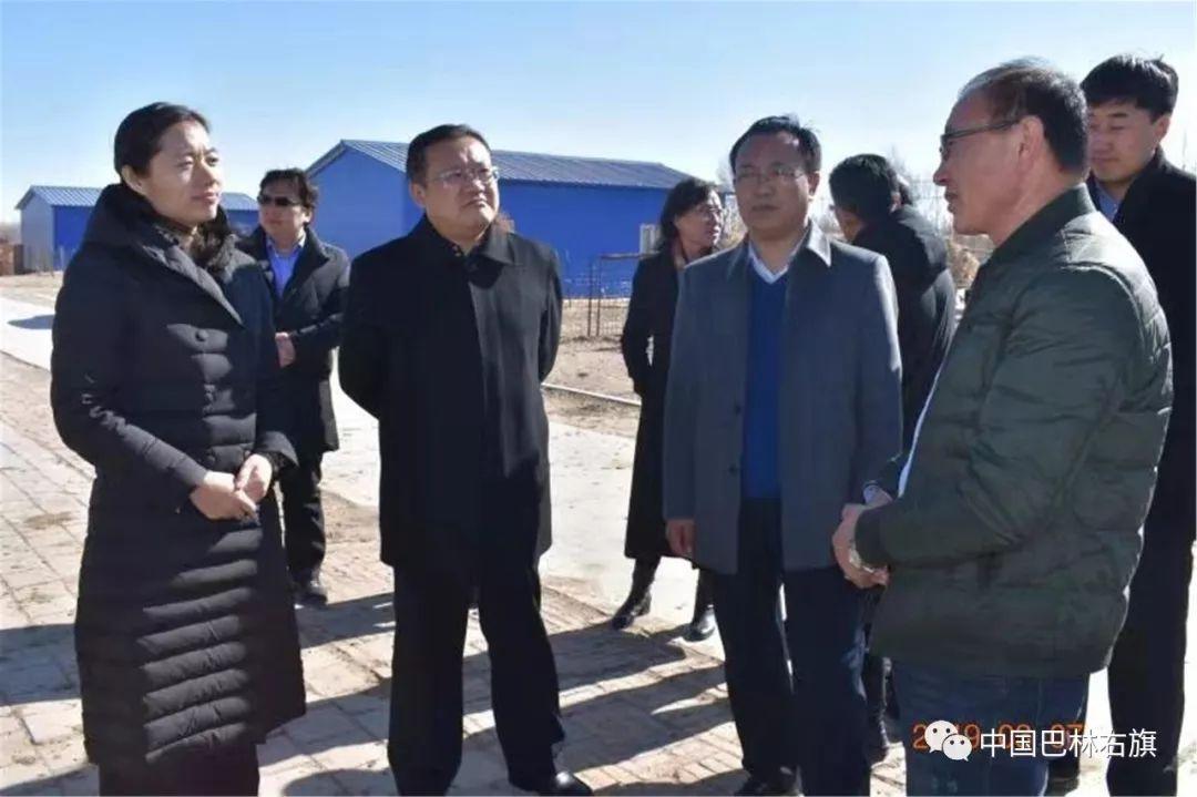 巴彦县最新发展热点新闻聚焦，县域新貌揭示