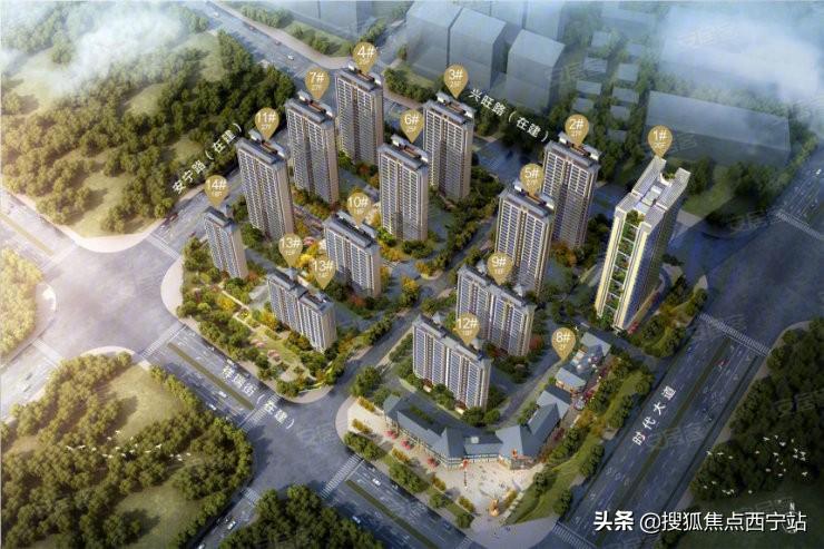 西宁碧桂园最新动态，温馨日常的揭秘