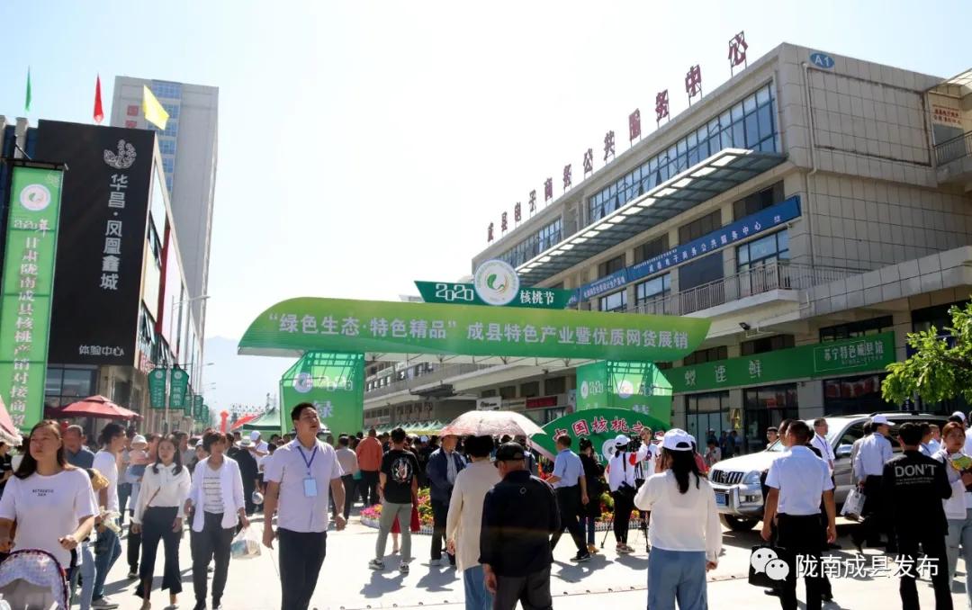 甘肃陇南最新新闻报道